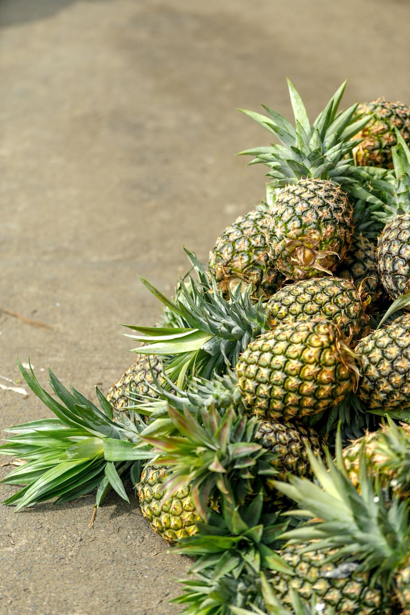 Pineapple & fruit